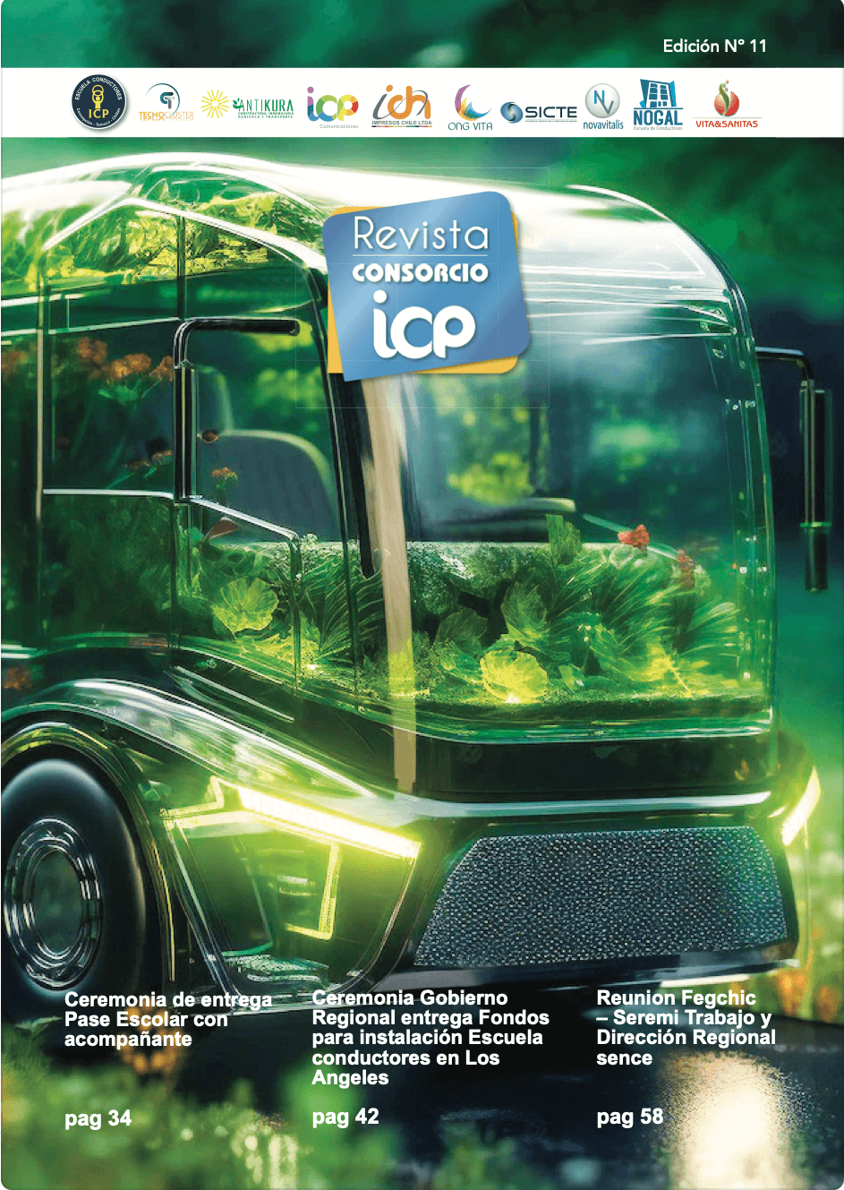 Revista Nº 11