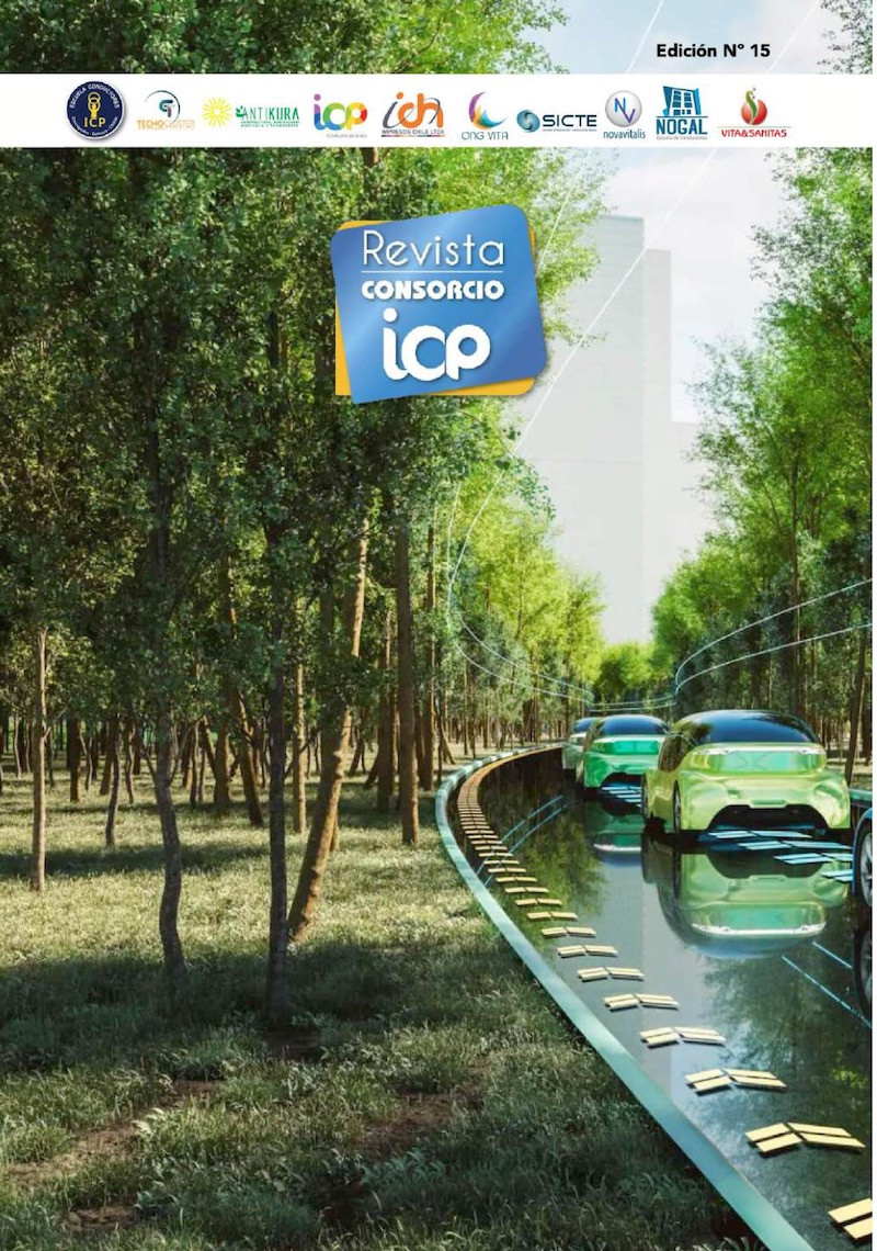Revista Nº 16